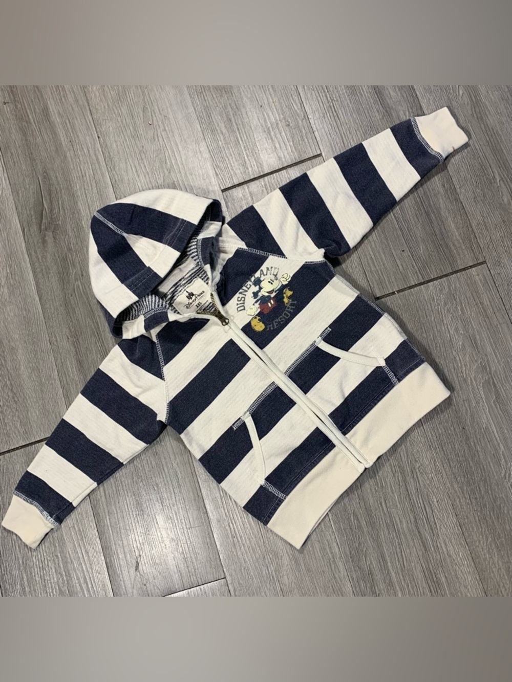 Disney Parks Full Zip Disneyland Resort Stripe Mickey Embroidered Hood Jacket